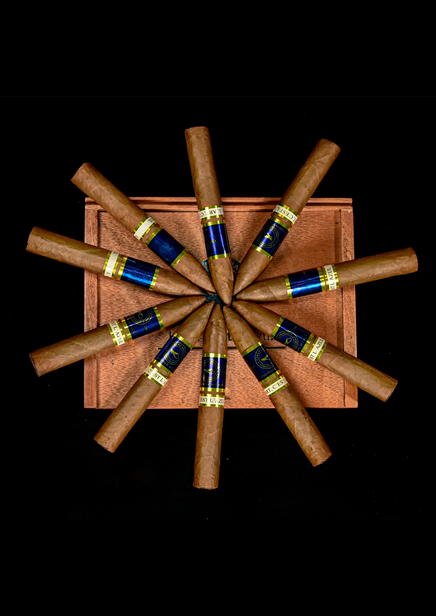 L'ART C'EST L'AZUR - Image 3