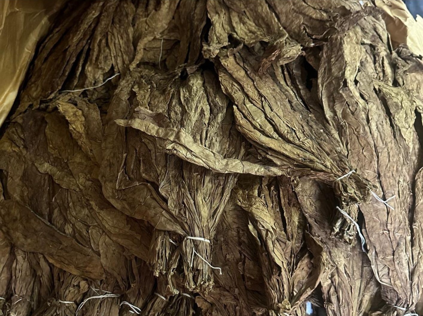 Product List Istmo (3)