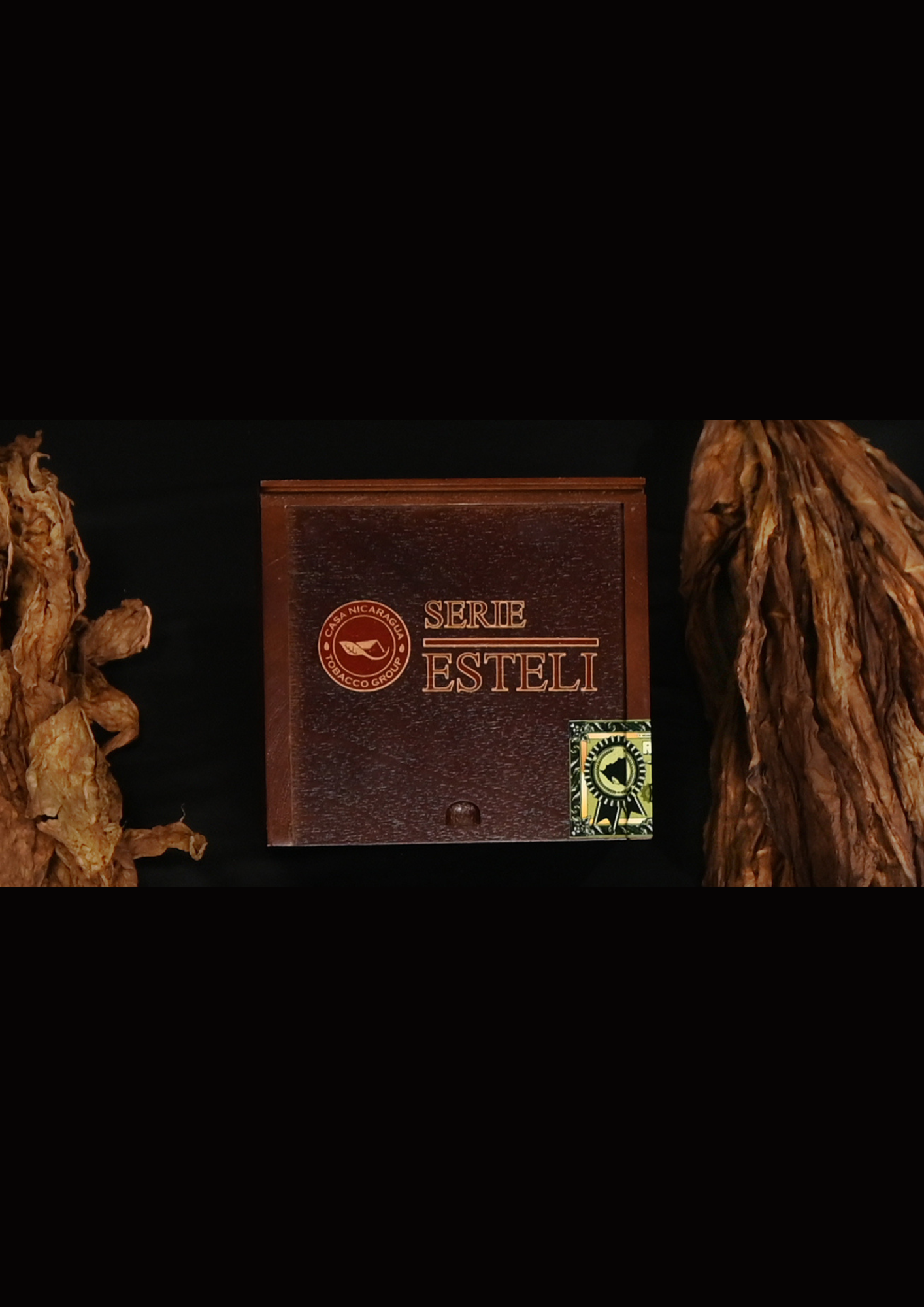 SERIE ESTELÍ - Image 5